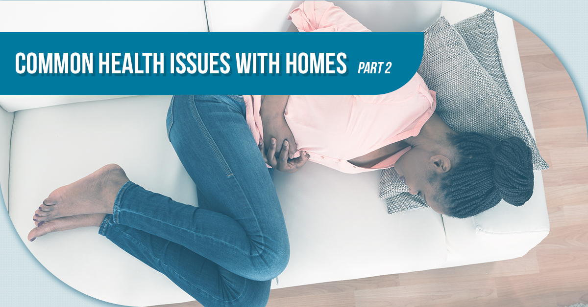 Common Health Issues With Homes – Part 2