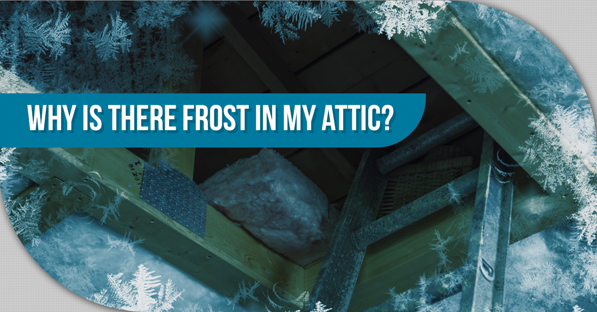 Why Is There Frost In My Attic?